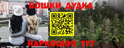 стаф Бузулук