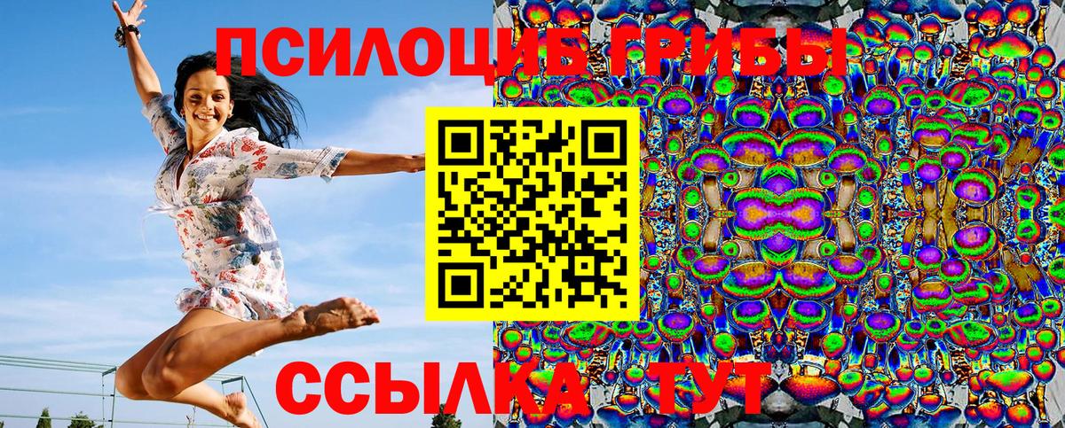 Псилоцибиновые грибы Хабаровск