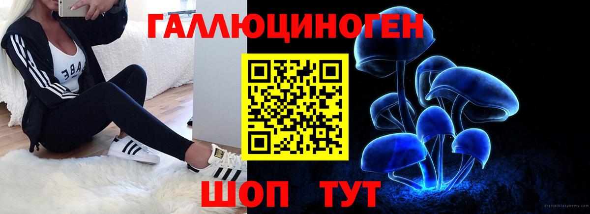 Хабаровск  Галлюциногенные грибы GOLDEN TEACHER  Вход с VPN 